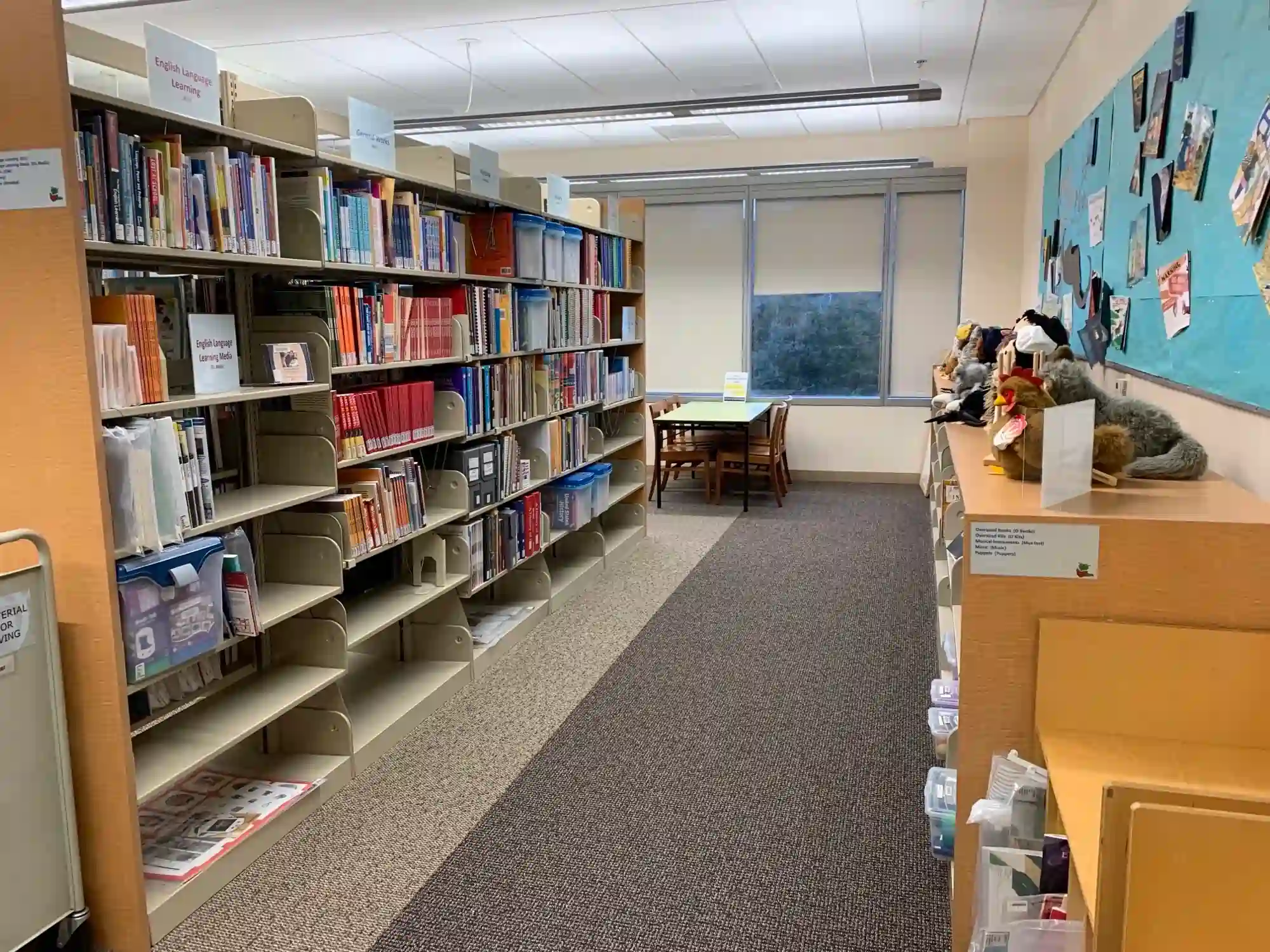 virginia-hansen-curriculum-room